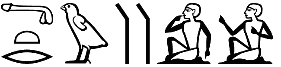 mtrw