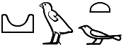 ḏw.t