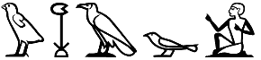wḫꜣ
