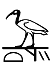 Ḏḥw.tjj